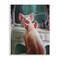 Stupell Industries I'm Beautiful Painted Pig in Mirror White Framed Wall Art